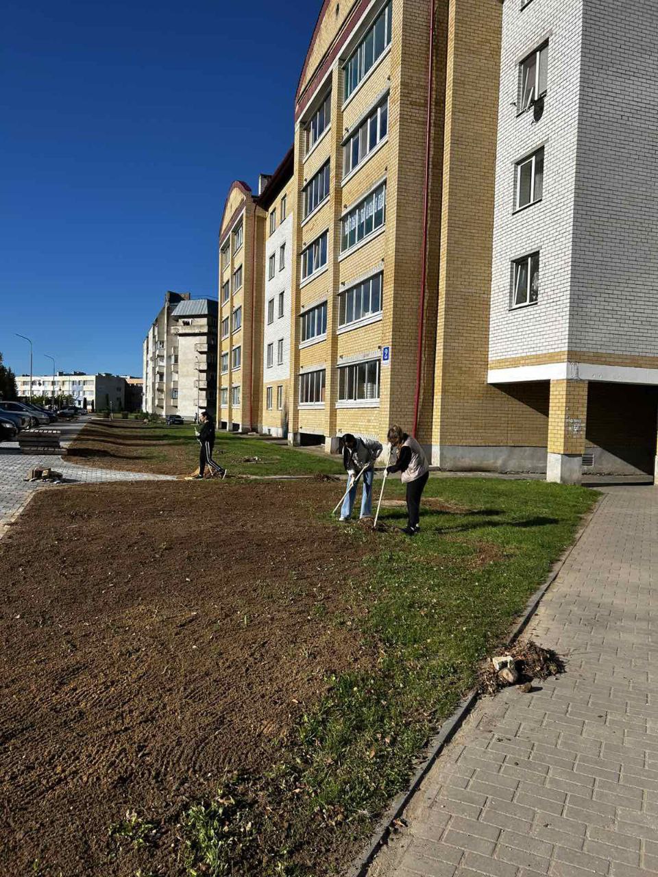 Чистый двор – комфортная жизнь